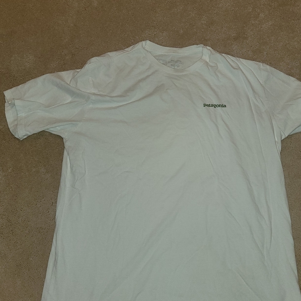 Patagonia graphic t-shirt
